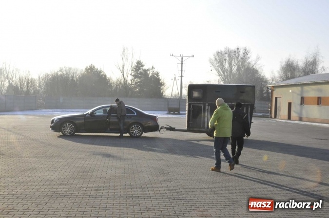 Zdjęcie w galerii na portalu naszraciborz.pl: Ruszył targ staroci w Pietrowicach Wielkich  wiadomości z regionu