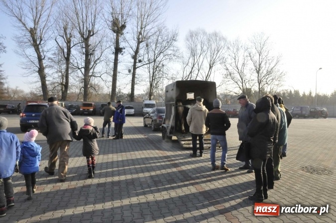 Zdjęcie w galerii na portalu naszraciborz.pl: Ruszył targ staroci w Pietrowicach Wielkich  wiadomości z regionu