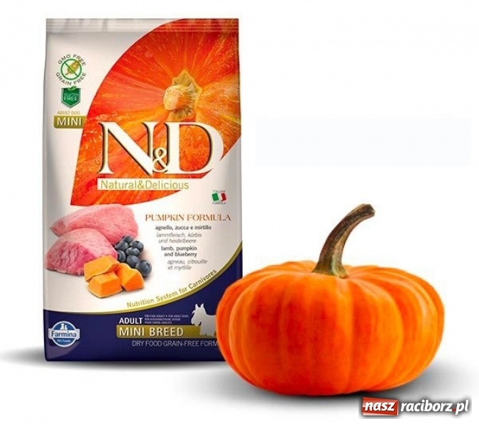 Zdjęcie w galerii na portalu naszraciborz.pl: Z pamiętnika Kolumba do diety dla psów  wiadomości z regionu