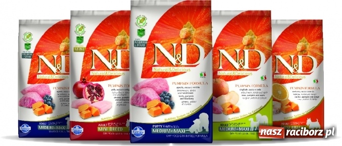 Zdjęcie w galerii na portalu naszraciborz.pl: Z pamiętnika Kolumba do diety dla psów  wiadomości z regionu