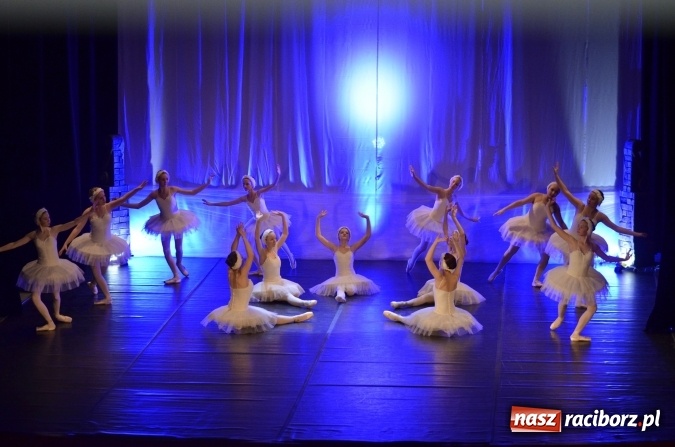 Zdjęcie w galerii na portalu naszraciborz.pl: Czesi z Hulczyna wystawili w Raciborzu Jezioro Łabędzie  wiadomości z regionu