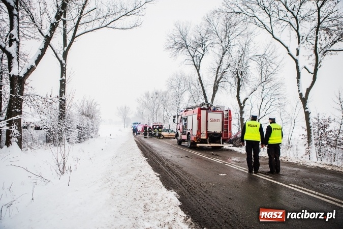 Zdjęcie w galerii na portalu naszraciborz.pl: Wypadek na trasie Racibórz - Lubomia. Zderzyły się dwa pojazdy - mercedes i VW wiadomości z regionu