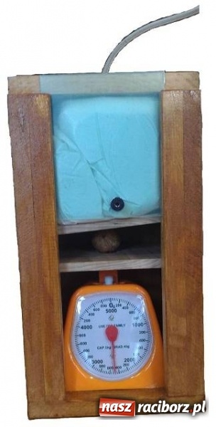 Zdjęcie w galerii na portalu naszraciborz.pl: Sukces uczniów I LO w Raciborzu wiadomości z regionu