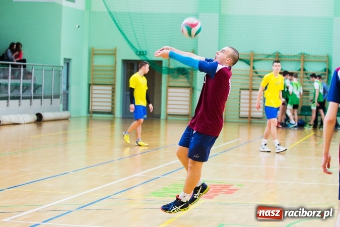Zdjęcie w galerii na portalu naszraciborz.pl: Miejski Finał Szkół Ponadgimnazjalnych w Piłce Siatkowej Chłopców wiadomości z regionu