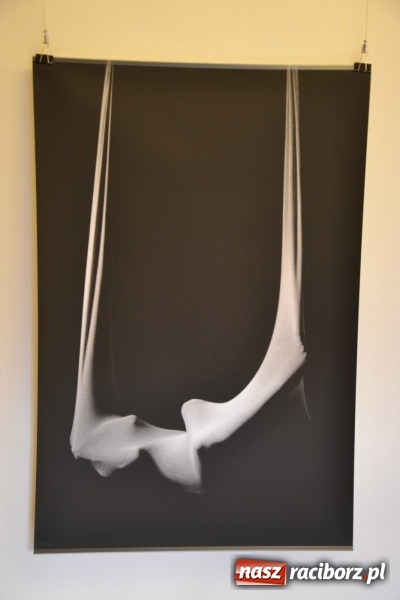 Zdjęcie w galerii na portalu naszraciborz.pl: DYPLOMY 2016 – wernisaż wystawy prac absolwentów Edukacji artystycznej w zakresie sztuk plastycznych wiadomości z regionu