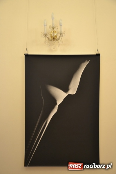 Zdjęcie w galerii na portalu naszraciborz.pl: DYPLOMY 2016 – wernisaż wystawy prac absolwentów Edukacji artystycznej w zakresie sztuk plastycznych wiadomości z regionu