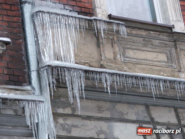 Zdjęcie w galerii na portalu naszraciborz.pl: Raciborskie zimowe kartoflisko wiadomości z regionu