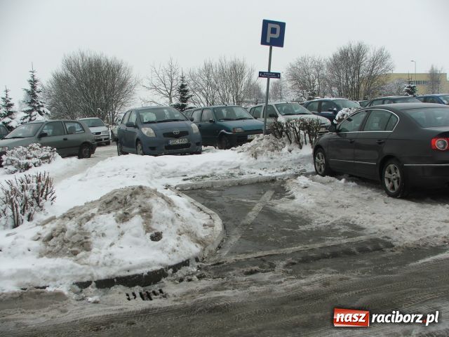 Zdjęcie w galerii na portalu naszraciborz.pl: Raciborskie zimowe kartoflisko wiadomości z regionu