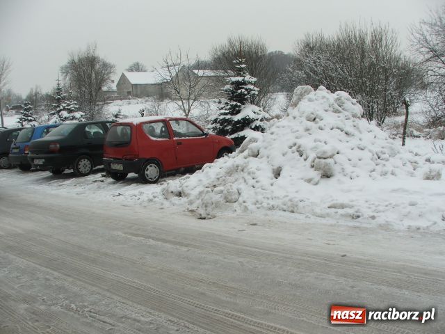 Zdjęcie w galerii na portalu naszraciborz.pl: Raciborskie zimowe kartoflisko wiadomości z regionu