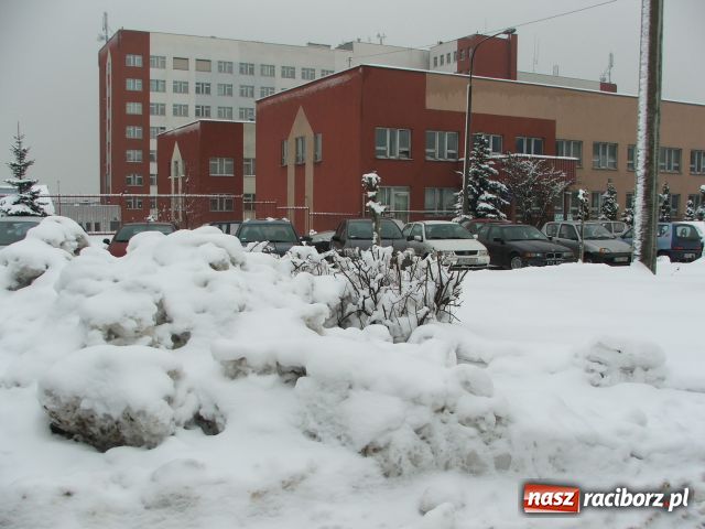 Zdjęcie w galerii na portalu naszraciborz.pl: Raciborskie zimowe kartoflisko wiadomości z regionu