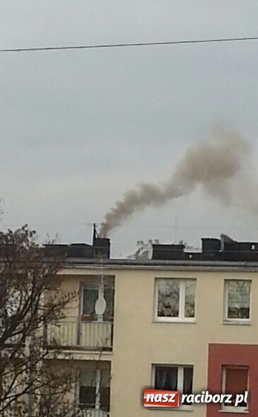 Zdjęcie w galerii na portalu naszraciborz.pl: Mieszkańcy ulic Pracy i Ogrodowej mają dość smrodu! Co na to starostwo? wiadomości z regionu