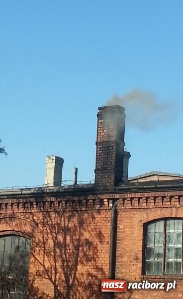 Zdjęcie w galerii na portalu naszraciborz.pl: Mieszkańcy ulic Pracy i Ogrodowej mają dość smrodu! Co na to starostwo? wiadomości z regionu