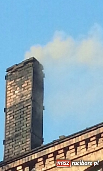 Zdjęcie w galerii na portalu naszraciborz.pl: Mieszkańcy ulic Pracy i Ogrodowej mają dość smrodu! Co na to starostwo? wiadomości z regionu