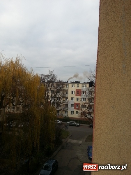 Zdjęcie w galerii na portalu naszraciborz.pl: Mieszkańcy ulic Pracy i Ogrodowej mają dość smrodu! Co na to starostwo? wiadomości z regionu