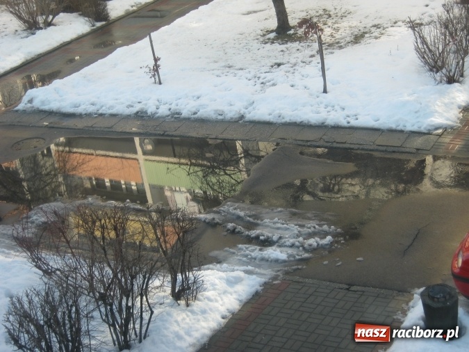 Zdjęcie w galerii na portalu naszraciborz.pl: Bajoro w centrum miasta. Czas w końcu temu zaradzić! wiadomości z regionu