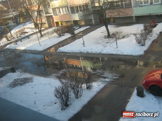 Zdjęcie w galerii na portalu naszraciborz.pl: Bajoro w centrum miasta. Czas w końcu temu zaradzić! wiadomości z regionu