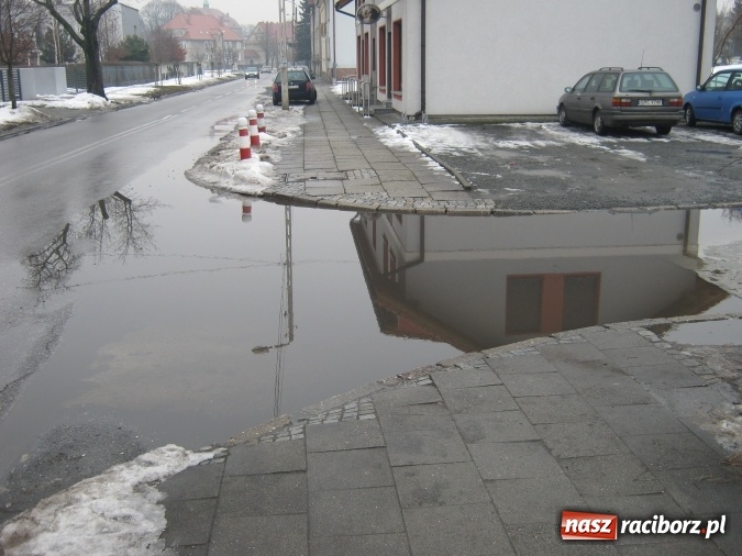 Zdjęcie w galerii na portalu naszraciborz.pl: Bajoro w centrum miasta. Czas w końcu temu zaradzić! wiadomości z regionu