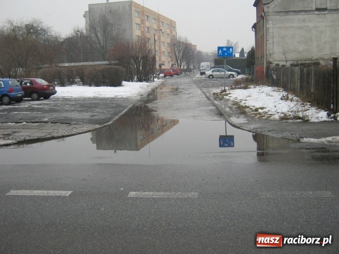 Zdjęcie w galerii na portalu naszraciborz.pl: Bajoro w centrum miasta. Czas w końcu temu zaradzić! wiadomości z regionu