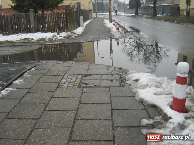 Zdjęcie w galerii na portalu naszraciborz.pl: Bajoro w centrum miasta. Czas w końcu temu zaradzić! wiadomości z regionu