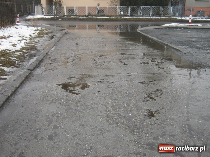 Zdjęcie w galerii na portalu naszraciborz.pl: Bajoro w centrum miasta. Czas w końcu temu zaradzić! wiadomości z regionu