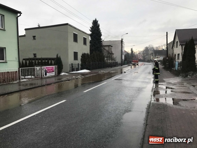 Zdjęcie w galerii na portalu naszraciborz.pl: Roztopy podtopiły domy przy ulicy Starowiejskiej w Raciborzu FOTO I WIDEO wiadomości z regionu