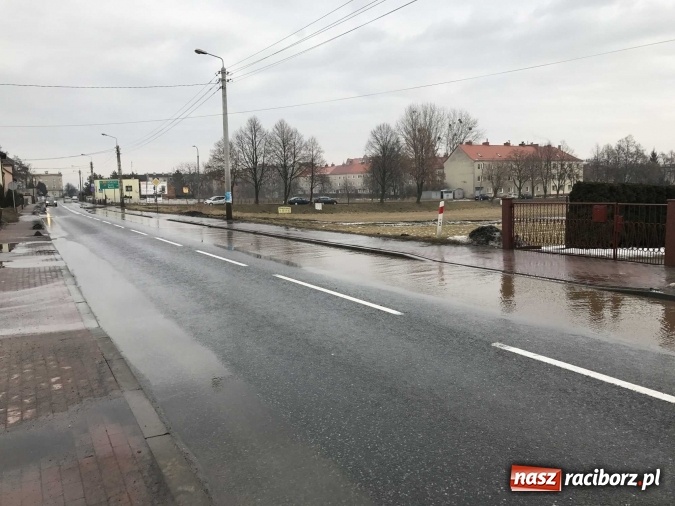 Zdjęcie w galerii na portalu naszraciborz.pl: Roztopy podtopiły domy przy ulicy Starowiejskiej w Raciborzu FOTO I WIDEO wiadomości z regionu