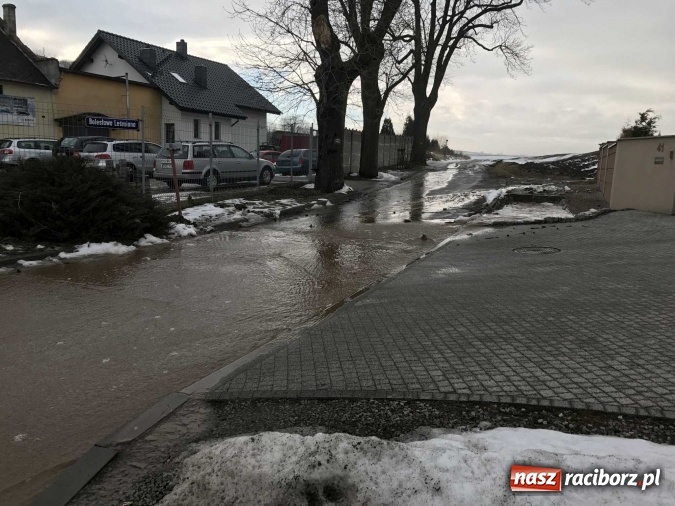 Zdjęcie w galerii na portalu naszraciborz.pl: Roztopy podtopiły domy przy ulicy Starowiejskiej w Raciborzu FOTO I WIDEO wiadomości z regionu