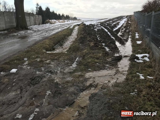 Zdjęcie w galerii na portalu naszraciborz.pl: Roztopy podtopiły domy przy ulicy Starowiejskiej w Raciborzu FOTO I WIDEO wiadomości z regionu