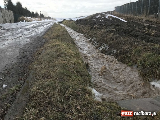 Zdjęcie w galerii na portalu naszraciborz.pl: Roztopy podtopiły domy przy ulicy Starowiejskiej w Raciborzu FOTO I WIDEO wiadomości z regionu
