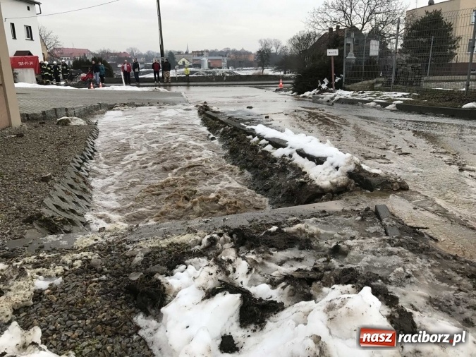 Zdjęcie w galerii na portalu naszraciborz.pl: Roztopy podtopiły domy przy ulicy Starowiejskiej w Raciborzu FOTO I WIDEO wiadomości z regionu