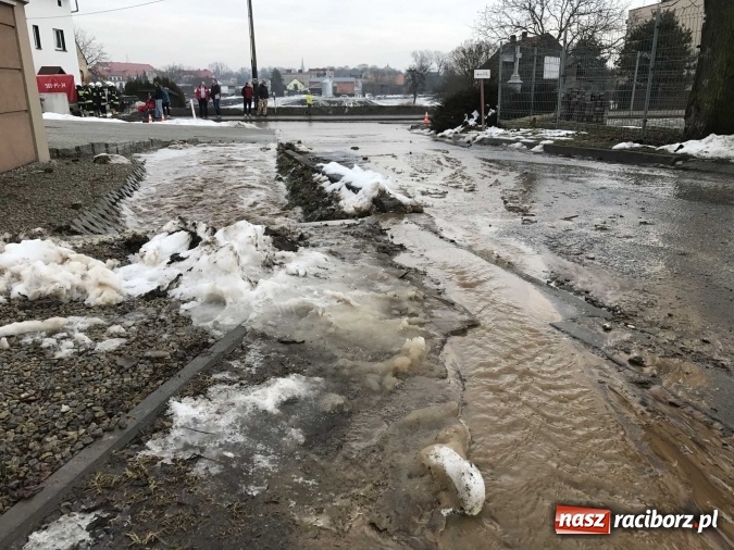 Zdjęcie w galerii na portalu naszraciborz.pl: Roztopy podtopiły domy przy ulicy Starowiejskiej w Raciborzu FOTO I WIDEO wiadomości z regionu