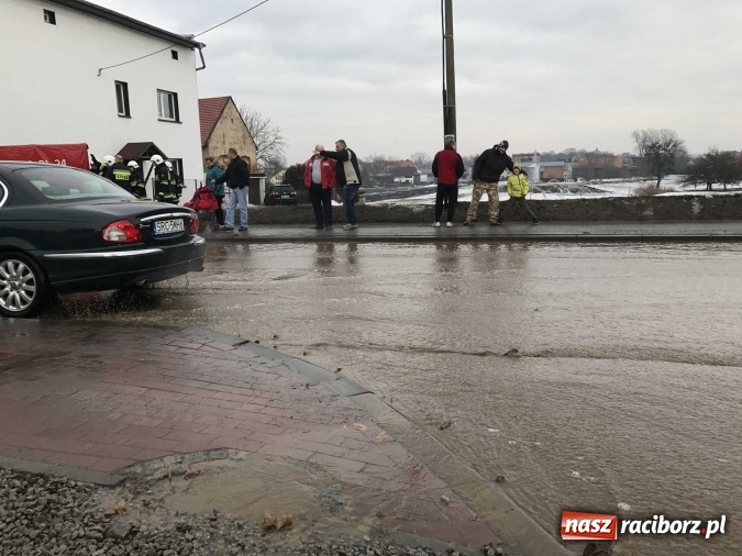 Zdjęcie w galerii na portalu naszraciborz.pl: Roztopy podtopiły domy przy ulicy Starowiejskiej w Raciborzu FOTO I WIDEO wiadomości z regionu