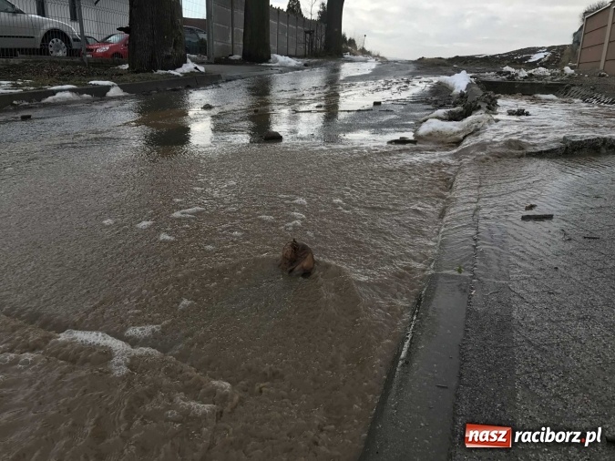 Zdjęcie w galerii na portalu naszraciborz.pl: Roztopy podtopiły domy przy ulicy Starowiejskiej w Raciborzu FOTO I WIDEO wiadomości z regionu