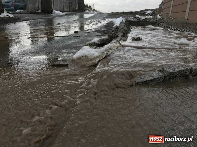 Zdjęcie w galerii na portalu naszraciborz.pl: Roztopy podtopiły domy przy ulicy Starowiejskiej w Raciborzu FOTO I WIDEO wiadomości z regionu