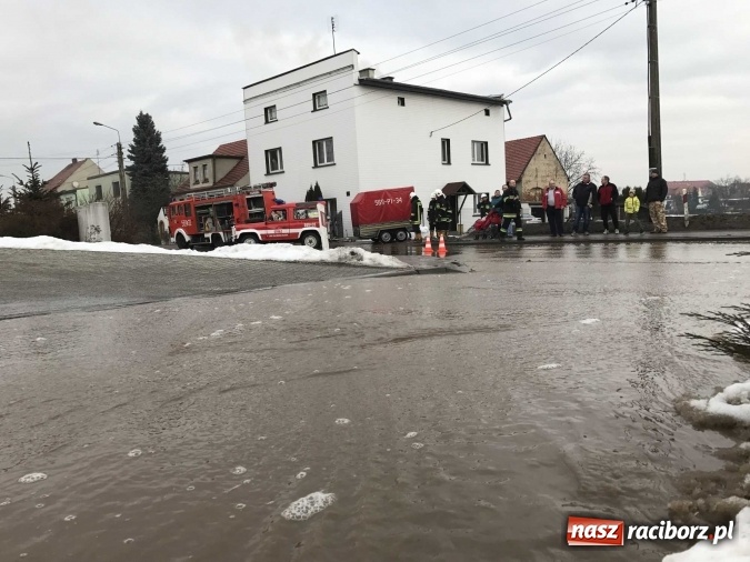 Zdjęcie w galerii na portalu naszraciborz.pl: Roztopy podtopiły domy przy ulicy Starowiejskiej w Raciborzu FOTO I WIDEO wiadomości z regionu