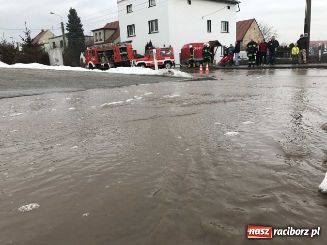 Zdjęcie w galerii na portalu naszraciborz.pl: Roztopy podtopiły domy przy ulicy Starowiejskiej w Raciborzu FOTO I WIDEO wiadomości z regionu