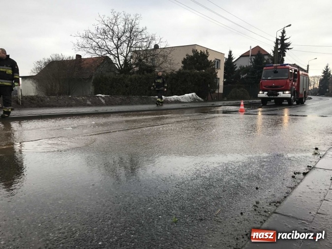 Zdjęcie w galerii na portalu naszraciborz.pl: Roztopy podtopiły domy przy ulicy Starowiejskiej w Raciborzu FOTO I WIDEO wiadomości z regionu