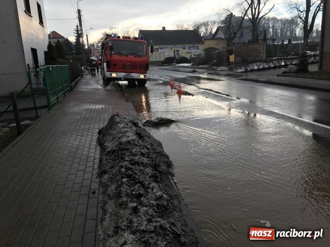 Zdjęcie w galerii na portalu naszraciborz.pl: Roztopy podtopiły domy przy ulicy Starowiejskiej w Raciborzu FOTO I WIDEO wiadomości z regionu