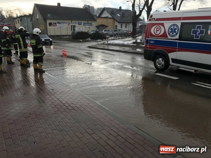 Zdjęcie w galerii na portalu naszraciborz.pl: Roztopy podtopiły domy przy ulicy Starowiejskiej w Raciborzu FOTO I WIDEO wiadomości z regionu