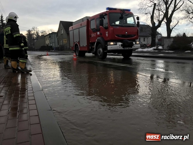 Zdjęcie w galerii na portalu naszraciborz.pl: Roztopy podtopiły domy przy ulicy Starowiejskiej w Raciborzu FOTO I WIDEO wiadomości z regionu