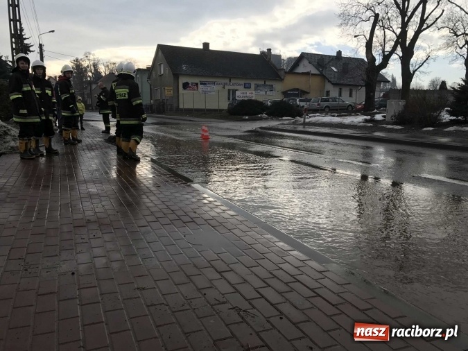 Zdjęcie w galerii na portalu naszraciborz.pl: Roztopy podtopiły domy przy ulicy Starowiejskiej w Raciborzu FOTO I WIDEO wiadomości z regionu