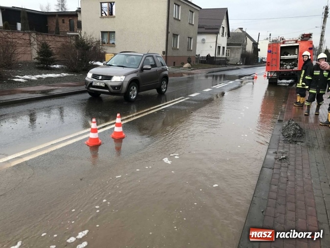Zdjęcie w galerii na portalu naszraciborz.pl: Roztopy podtopiły domy przy ulicy Starowiejskiej w Raciborzu FOTO I WIDEO wiadomości z regionu