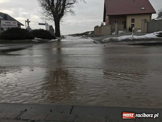 Zdjęcie w galerii na portalu naszraciborz.pl: Roztopy podtopiły domy przy ulicy Starowiejskiej w Raciborzu FOTO I WIDEO wiadomości z regionu