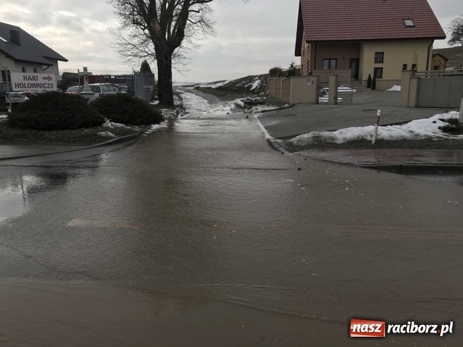 Zdjęcie w galerii na portalu naszraciborz.pl: Roztopy podtopiły domy przy ulicy Starowiejskiej w Raciborzu FOTO I WIDEO wiadomości z regionu