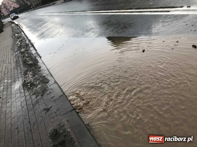 Zdjęcie w galerii na portalu naszraciborz.pl: Roztopy podtopiły domy przy ulicy Starowiejskiej w Raciborzu FOTO I WIDEO wiadomości z regionu