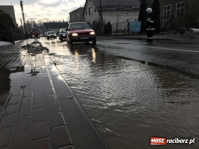 Zdjęcie w galerii na portalu naszraciborz.pl: Roztopy podtopiły domy przy ulicy Starowiejskiej w Raciborzu FOTO I WIDEO wiadomości z regionu