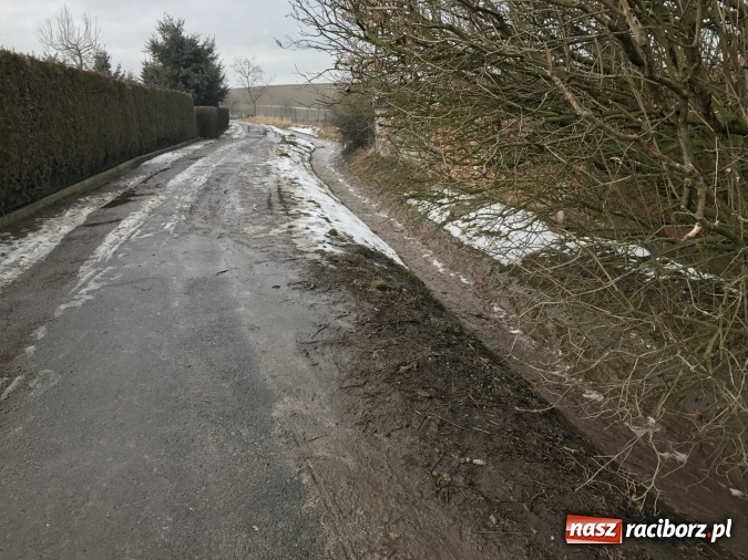 Zdjęcie w galerii na portalu naszraciborz.pl: Roztopy podtopiły domy przy ulicy Starowiejskiej w Raciborzu FOTO I WIDEO wiadomości z regionu