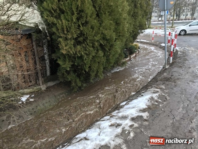 Zdjęcie w galerii na portalu naszraciborz.pl: Roztopy podtopiły domy przy ulicy Starowiejskiej w Raciborzu FOTO I WIDEO wiadomości z regionu