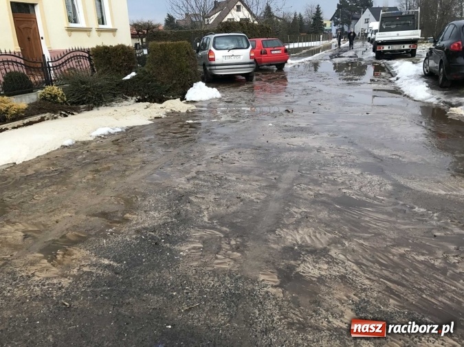 Zdjęcie w galerii na portalu naszraciborz.pl: Roztopy podtopiły domy przy ulicy Starowiejskiej w Raciborzu FOTO I WIDEO wiadomości z regionu