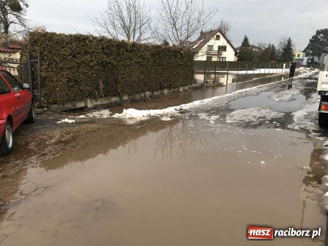 Zdjęcie w galerii na portalu naszraciborz.pl: Roztopy podtopiły domy przy ulicy Starowiejskiej w Raciborzu FOTO I WIDEO wiadomości z regionu